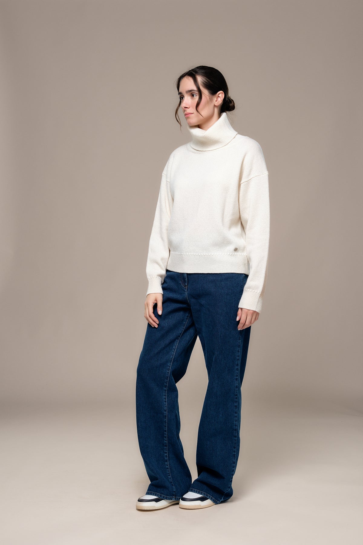 Pull col roulé TISCALI